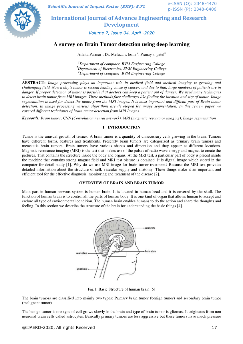 brain tumour research paper