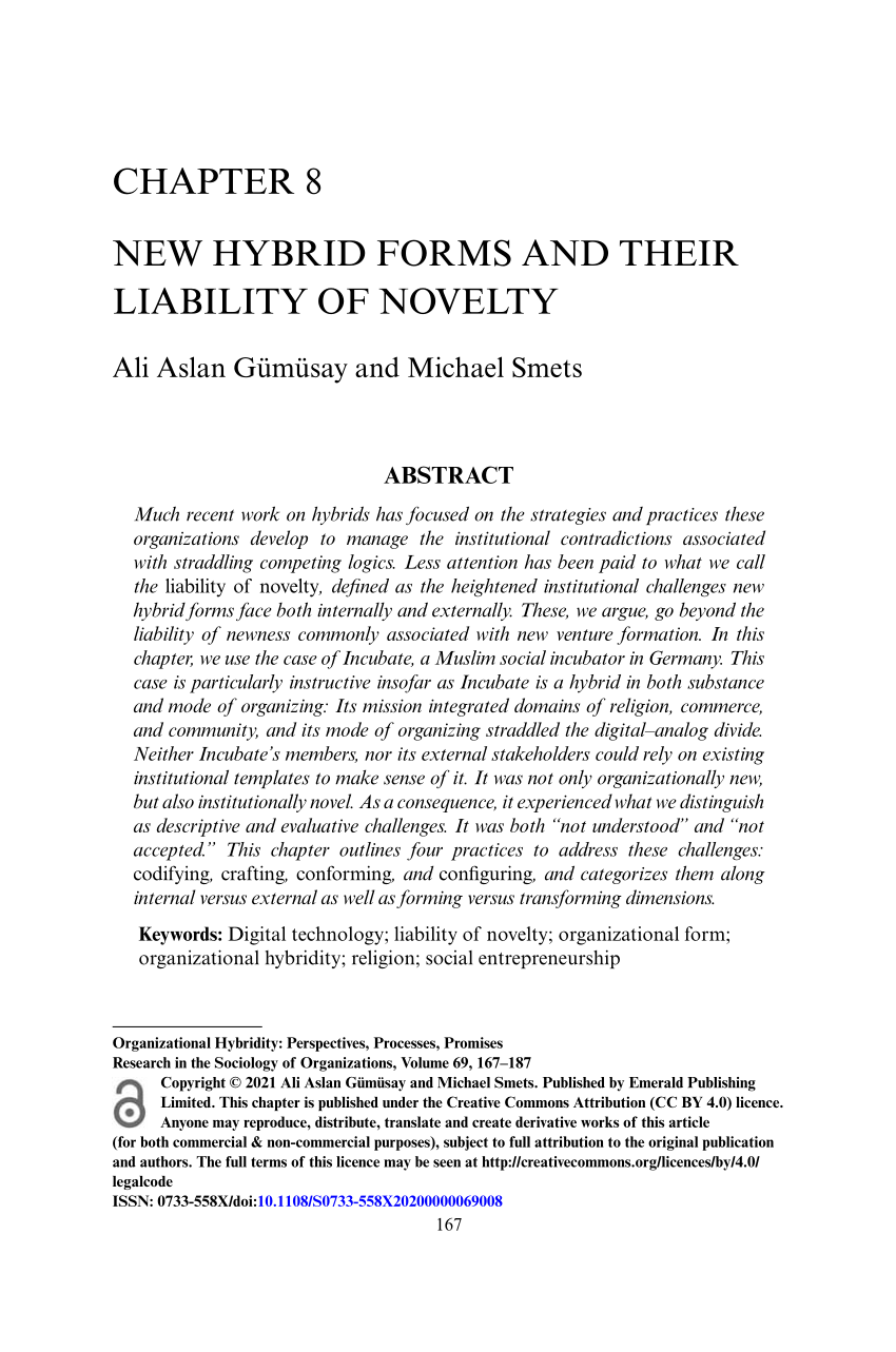 (PDF) New Hybrid Forms and Their Liability of Novelty