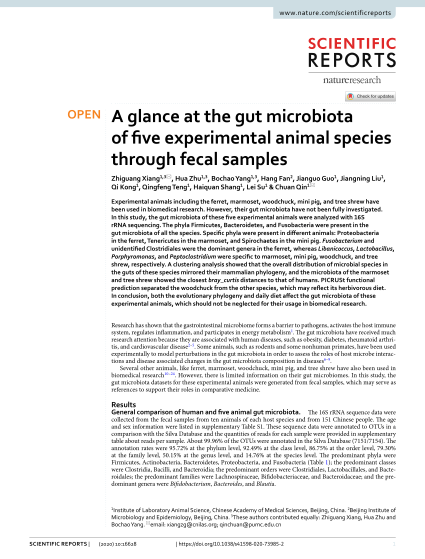 PDF) A glance at the gut microbiota of five experimental animal 