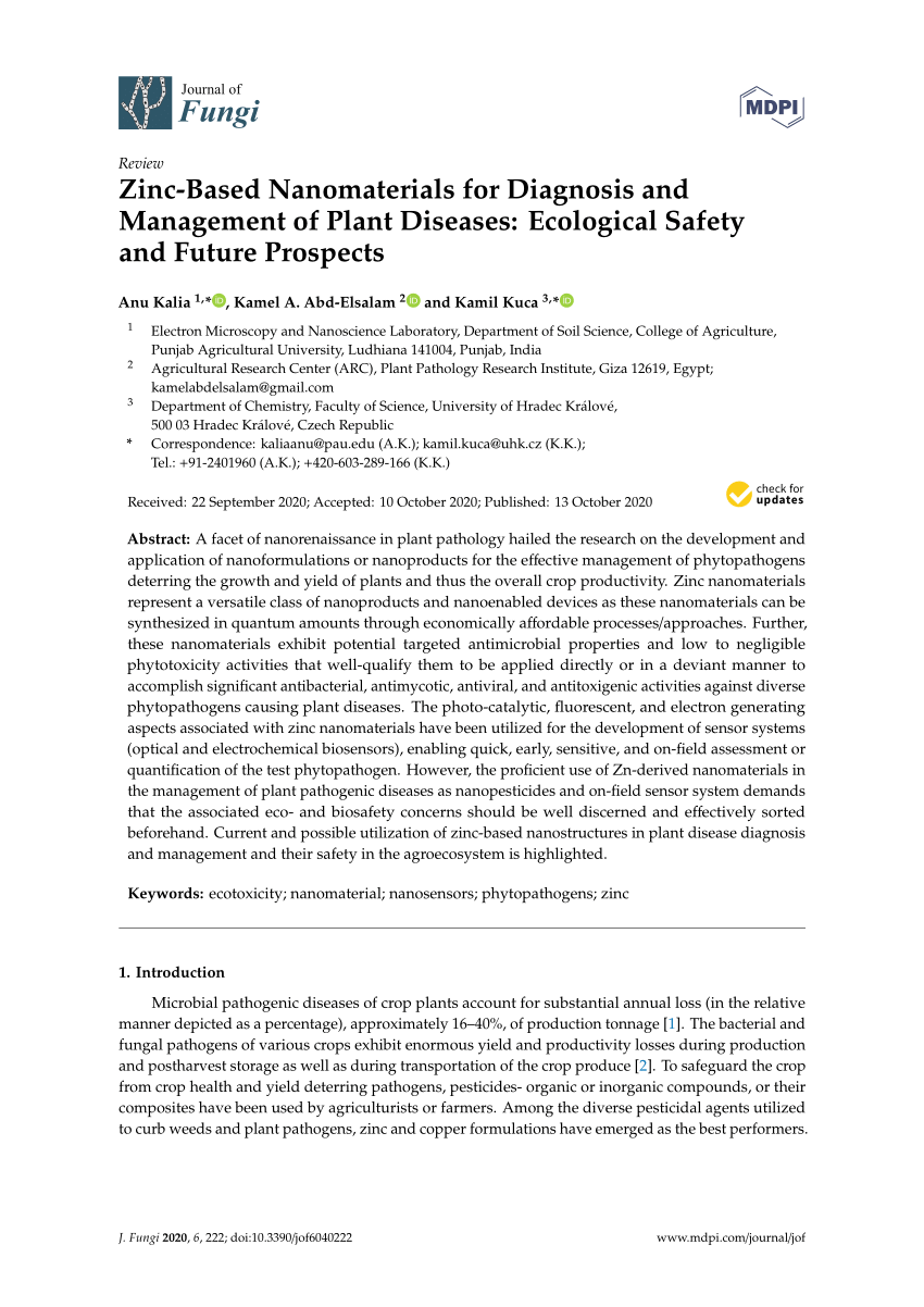 literature review nanomaterials