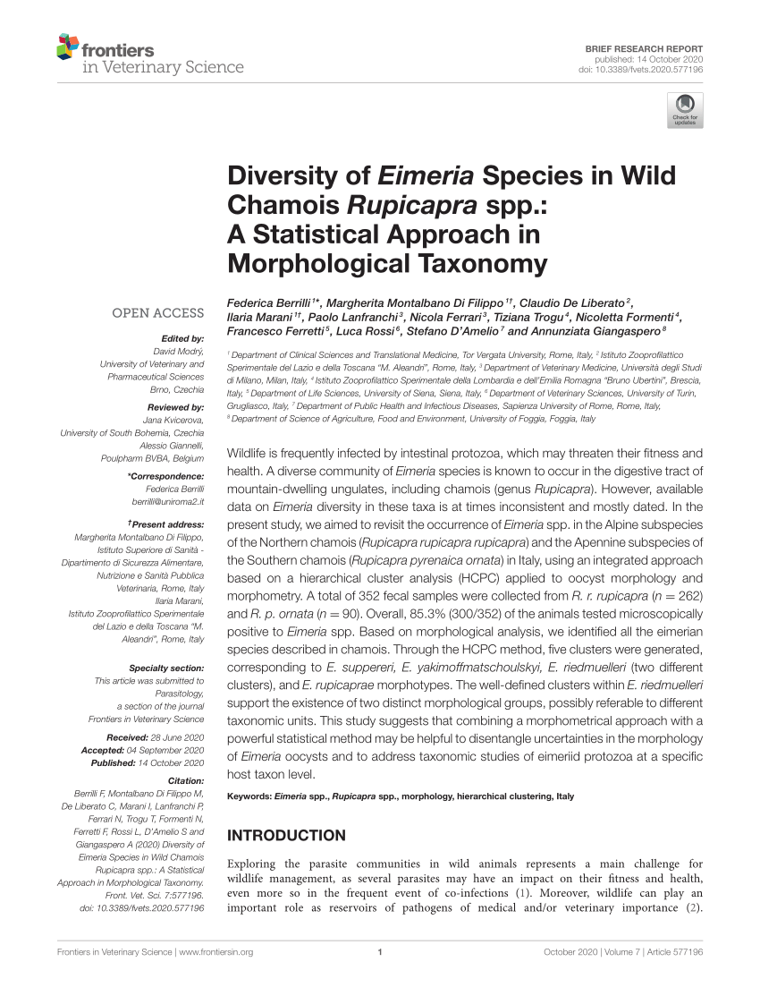Exploring the significance of morphological diversity for
