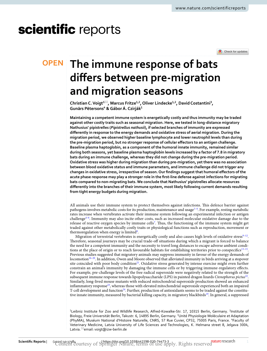 Pdf The Immune Response Of Bats Differs Between Pre Migration And Migration Seasons