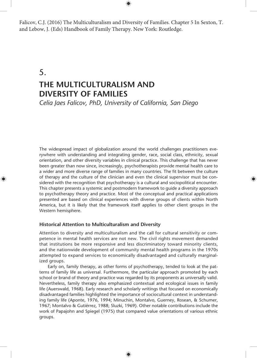 multicultural family essay