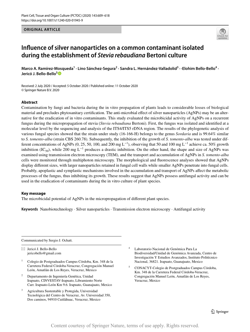 Influence Of Silver Nanoparticles On A Common Contaminant Isolated During The Establishment Of Stevia Rebaudiana Bertoni Culture Request Pdf