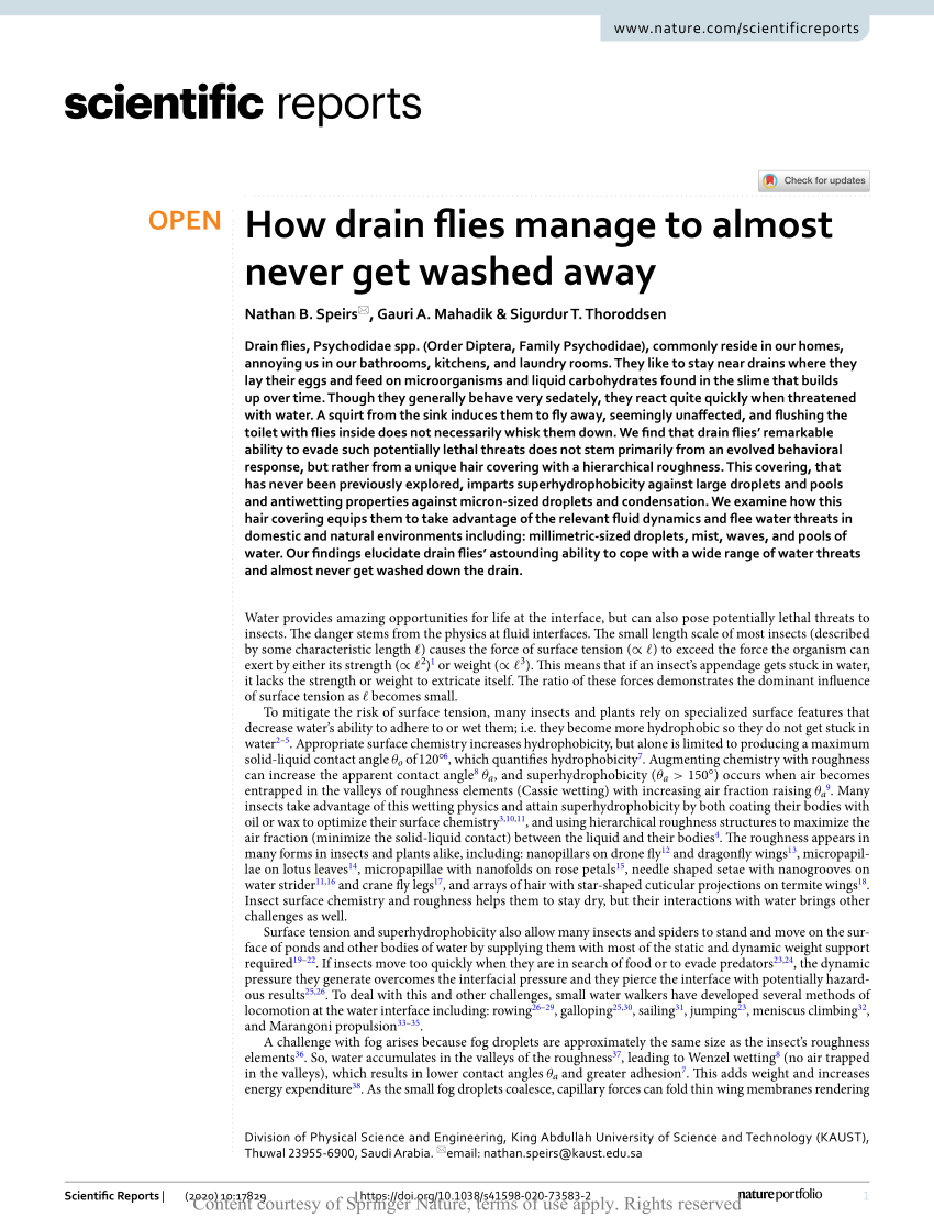 https://i1.rgstatic.net/publication/344803031_How_drain_flies_manage_to_almost_never_get_washed_away/links/5fb6b93092851c933f3f44e0/largepreview.png