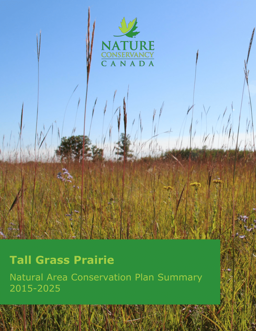 (PDF) Tall Grass Prairie Natural Area Conservation Plan Summary 20152025