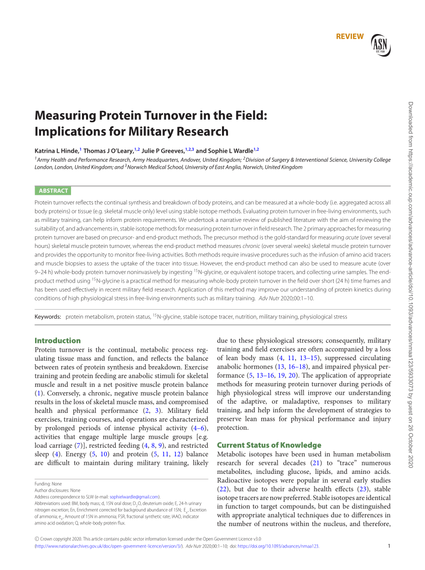aging protein turnover