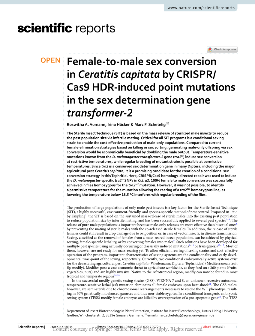 PDF) Female-to-male sex conversion in Ceratitis capitata by CRISPR/Cas9  HDR-induced point mutations in the sex determination gene transformer-2