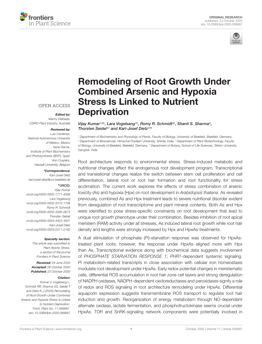 Pdf Citation Remodeling Of Root Growth Under Combined Arsenic And Hypoxia Stress Is Linked To Nutrient Deprivation