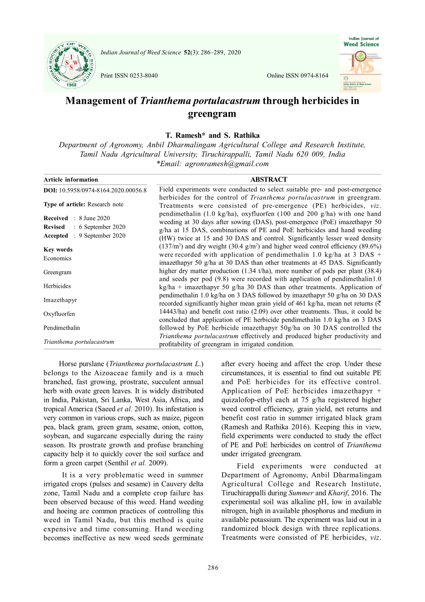 research paper on marijuana in india