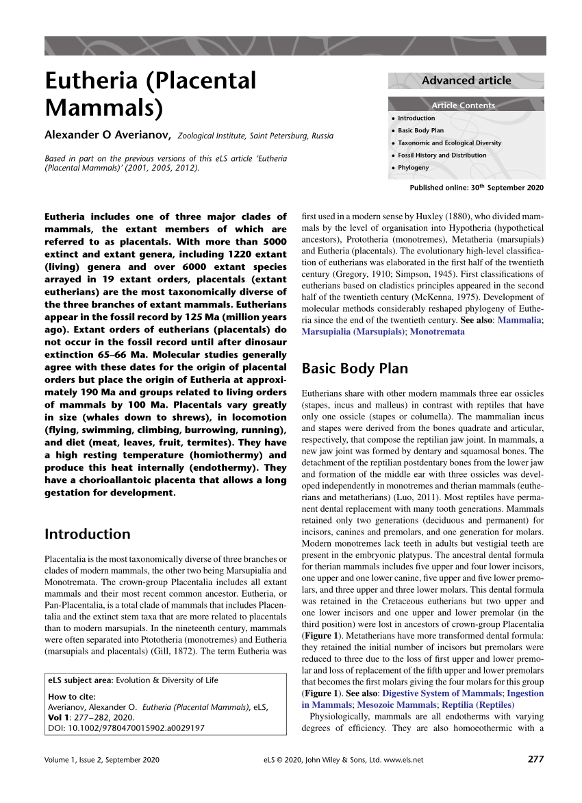 (PDF) Eutheria (Placental Mammals)