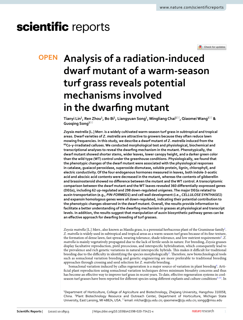 (PDF) Analysis of a radiation-induced dwarf mutant of a warm 