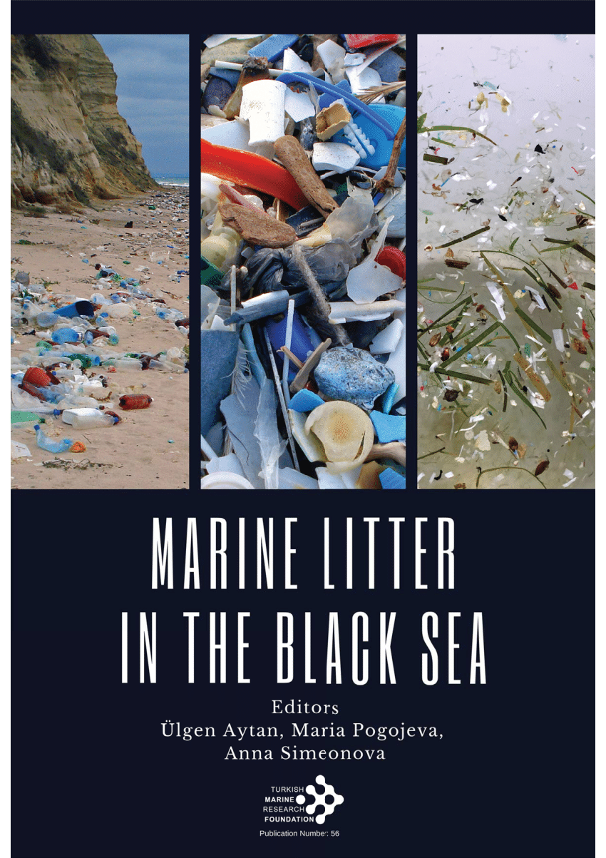 https://i1.rgstatic.net/publication/345258224_Plastic_pollution_along_the_Bulgarian_Black_Sea_coast_Current_status_and_trends/links/5fa1b2ff458515b7cfb64e48/largepreview.png