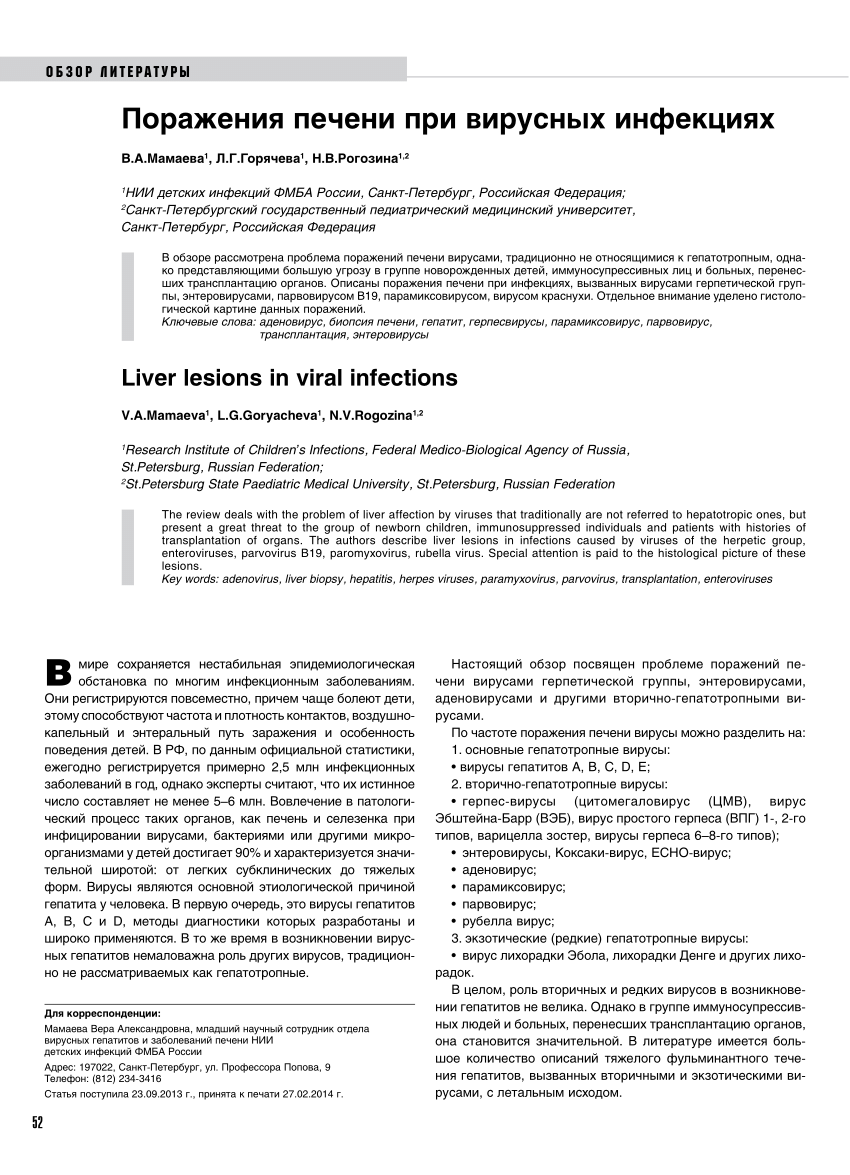 PDF) Liver lesions in viral infections