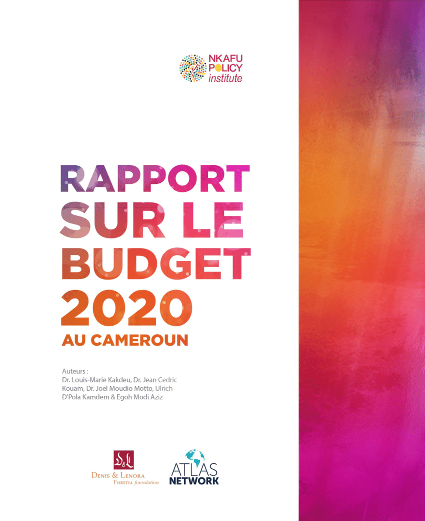 (PDF) RAPPORT SUR LE BUDGET 2020 AU CAMEROUN  Estil viable, résilient