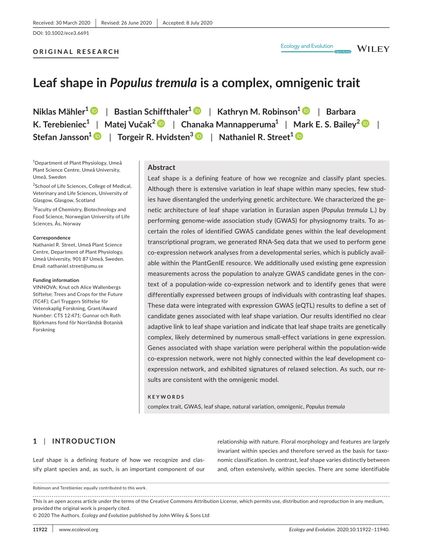 PDF) Leaf shape in Populus tremula is a complex, omnigenic trait