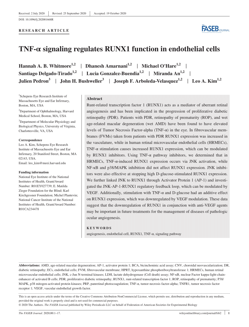 Pdf Tnf A Signaling Regulates Runx1 Function In Endothelial Cells
