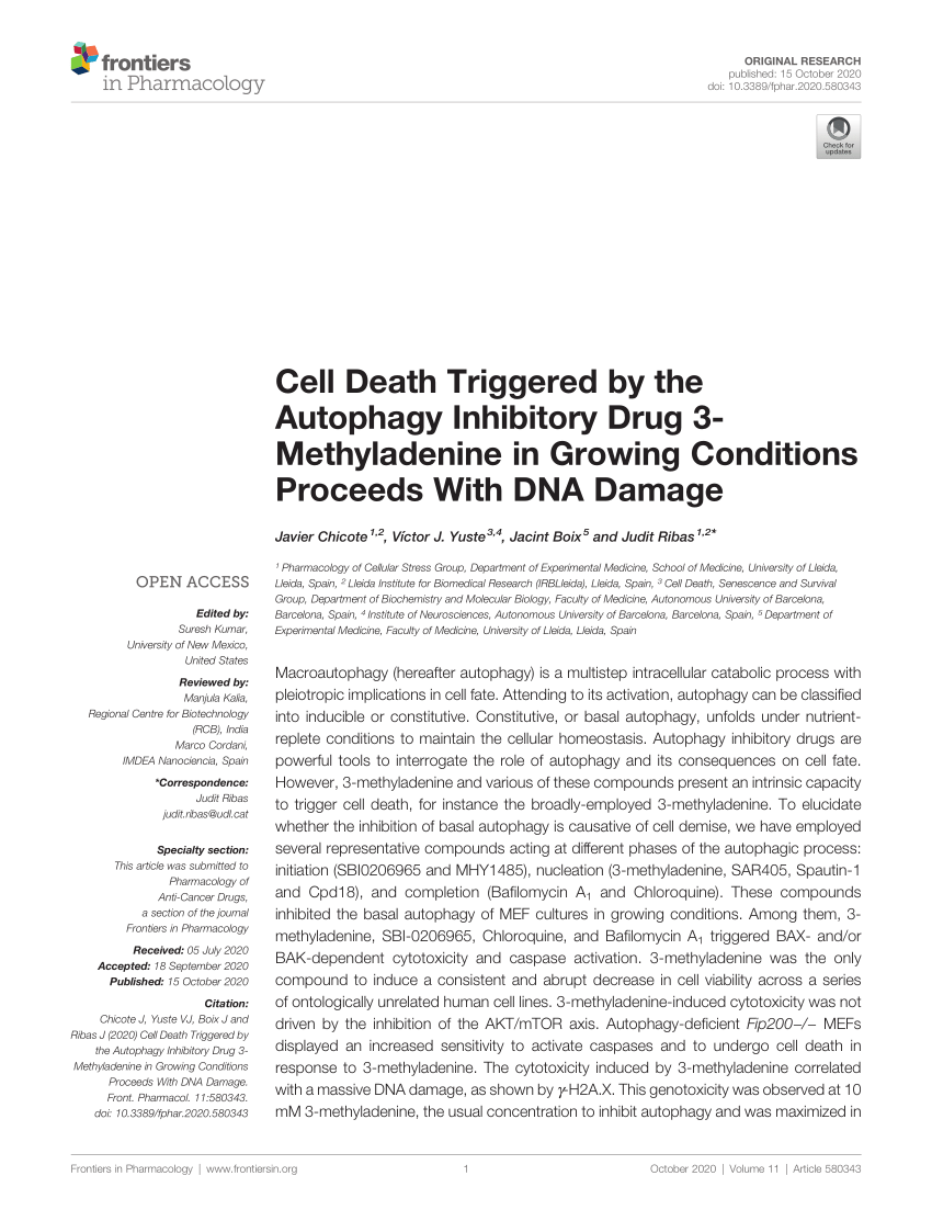PDF) Cell Death Triggered by the Autophagy Inhibitory Drug 3 ...
