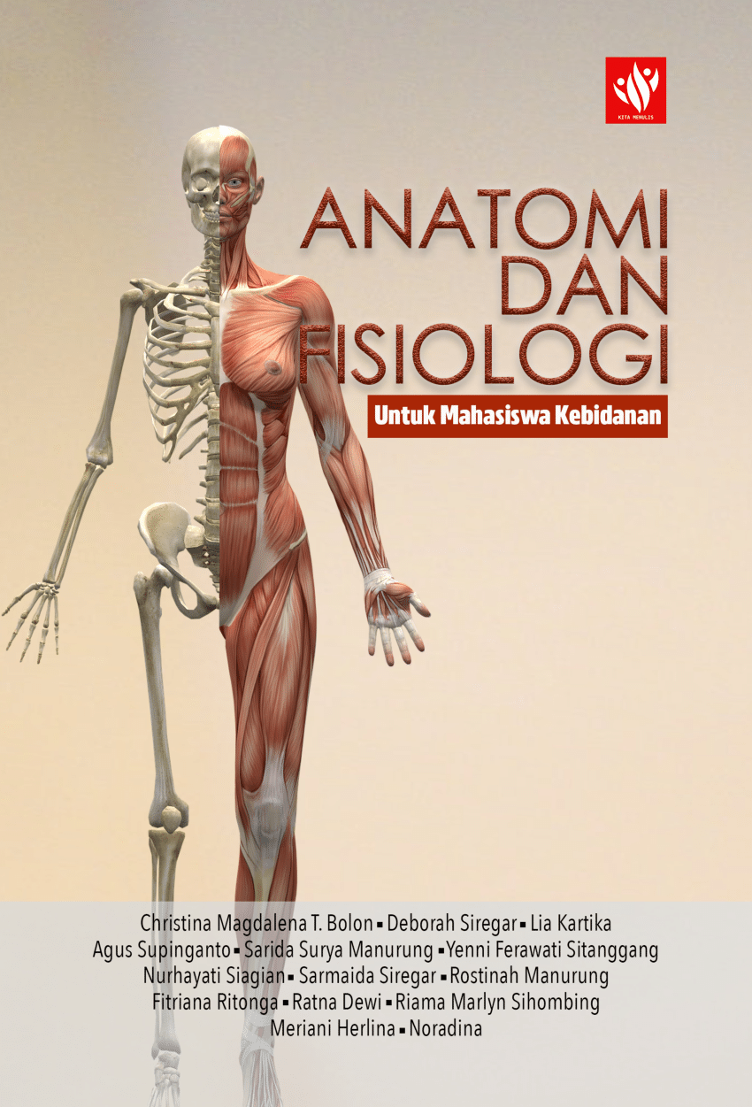 28+ Contoh Jurnal Anatomi Fisiologi Manusia