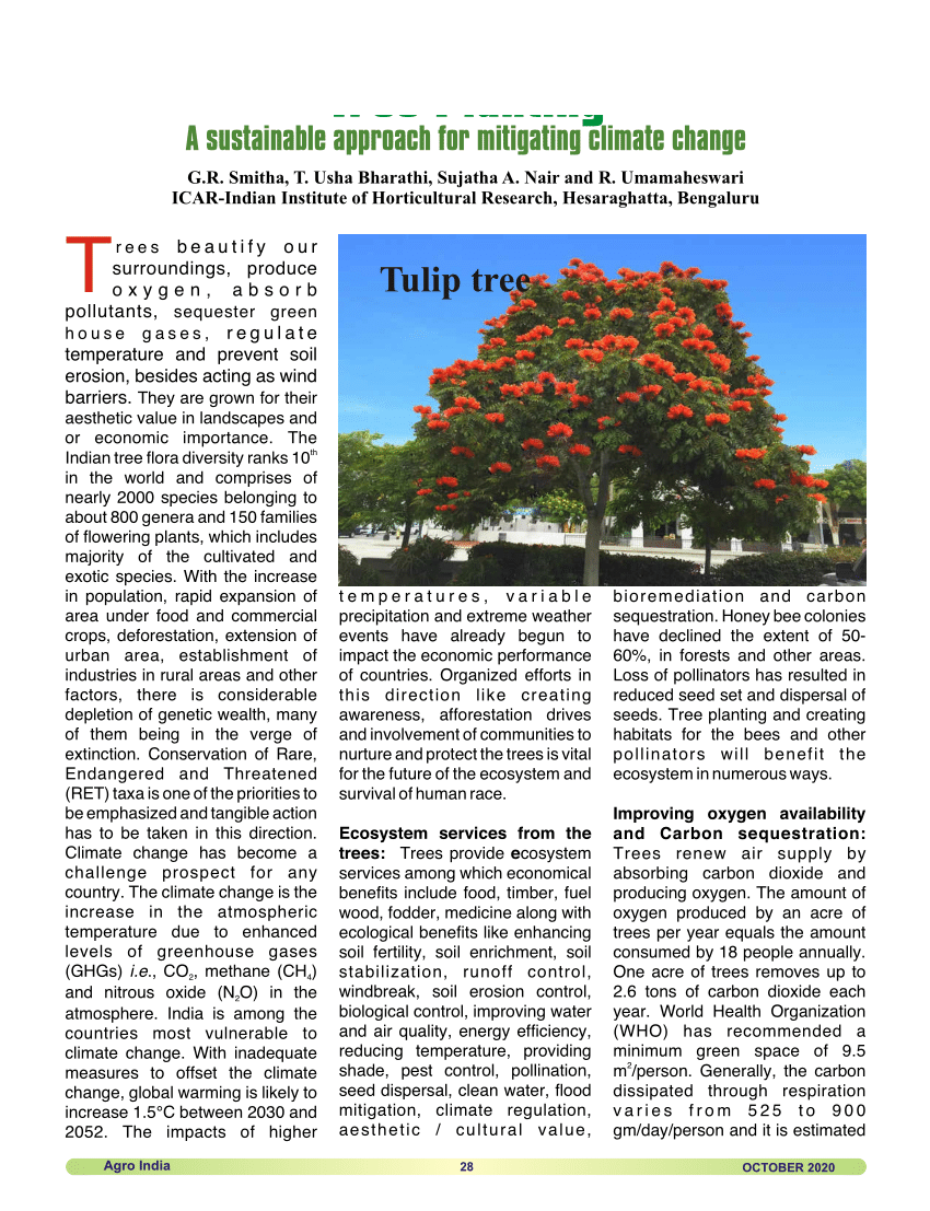 tree planting research paper pdf