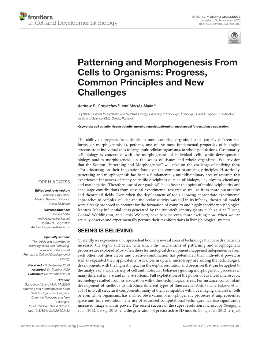 PDF) Patterning and Morphogenesis From Cells to Organisms ...