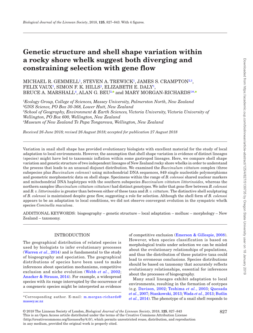 Pdf Genetic Structure And Shell Shape Variation Within A Rocky Shore Whelk Suggest Both Diverging And Constraining Selection With Gene Flow