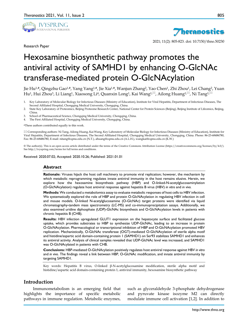 Pdf Hexosamine Biosynthetic Pathway Promotes The Antiviral Activity Of Samhd1 By Enhancing O Glcnac Transferase Mediated Protein O Glcnacylation
