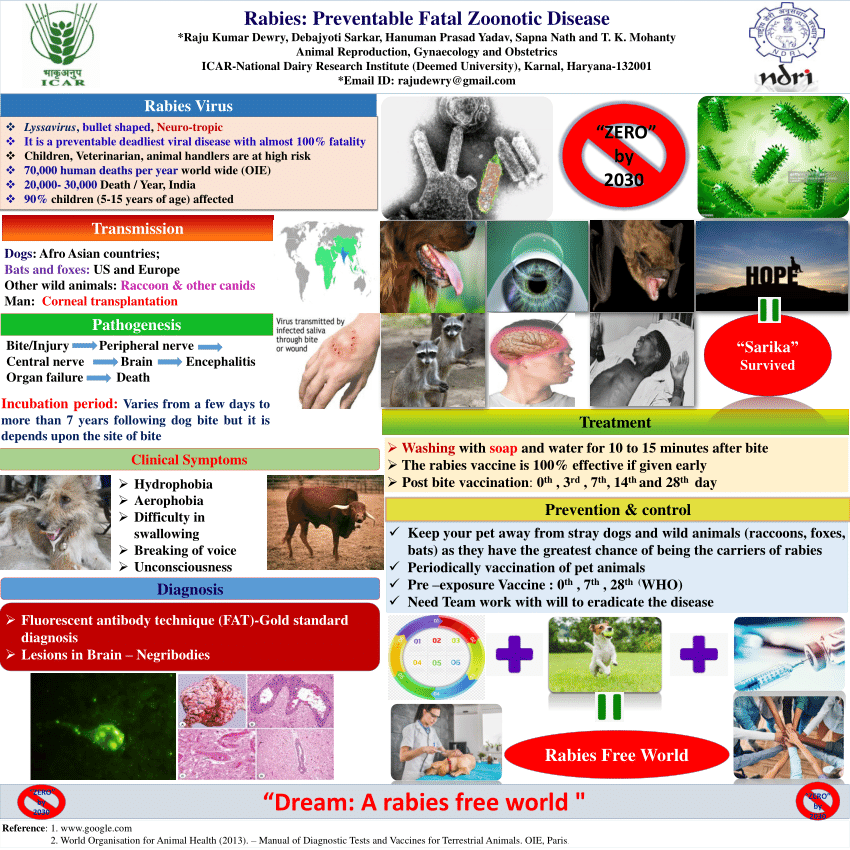 (PDF) Rabies: Preventable Fatal Zoonotic Disease