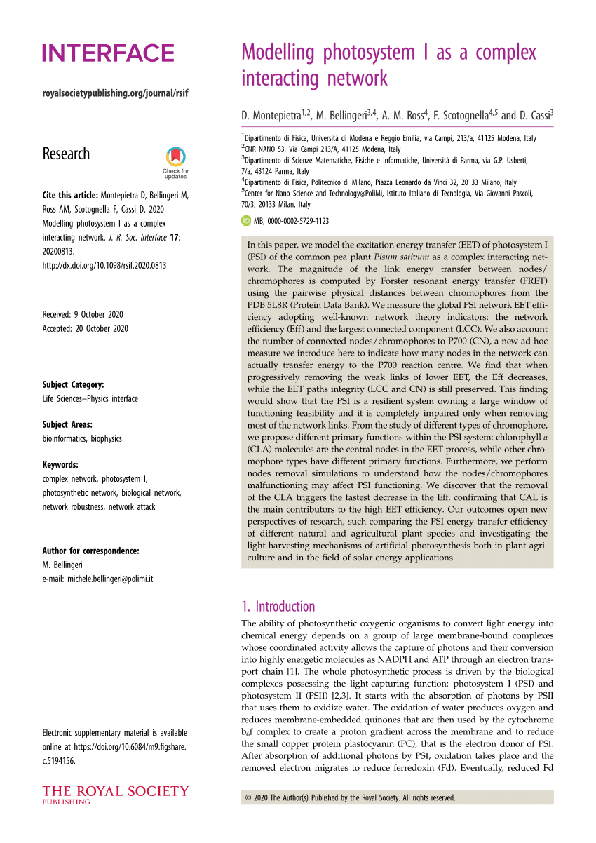 Modelling photosystem I as a complex interacting network Request PDF