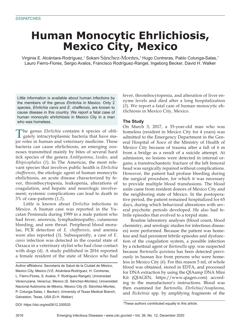 PDF Human Monocytic Ehrlichiosis Mexico City Mexico