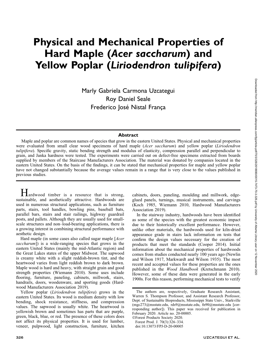 Hard Maple  properties, uses, info - Earlywood