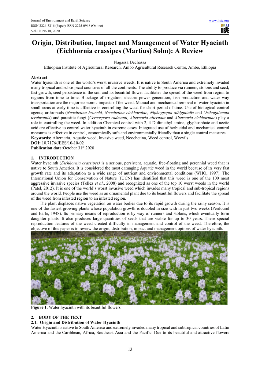 water hyacinth as paper research paper
