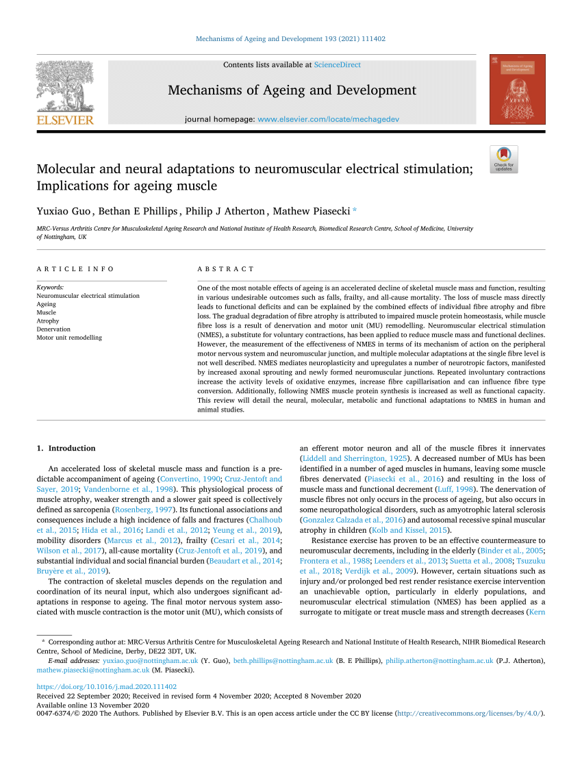 Molecular and neural adaptations to neuromuscular electrical stimulation;  Implications for ageing muscle - ScienceDirect