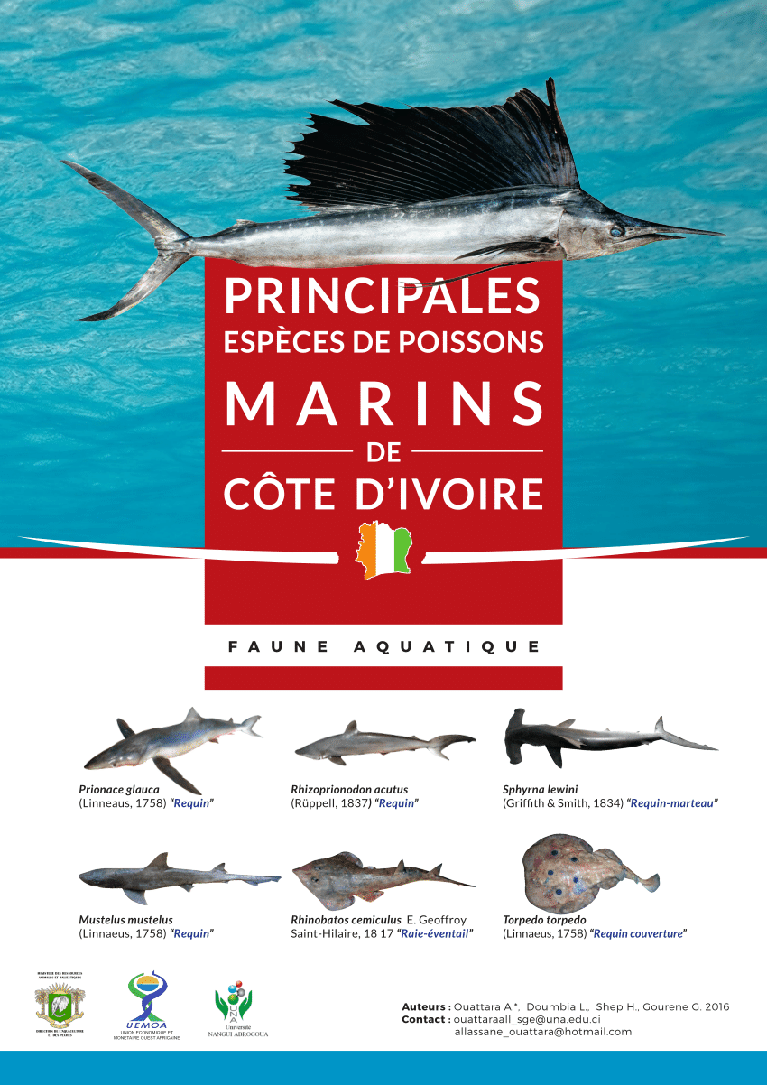 Pdf Principales Especes De Poissons Marins De Cote D Ivoire