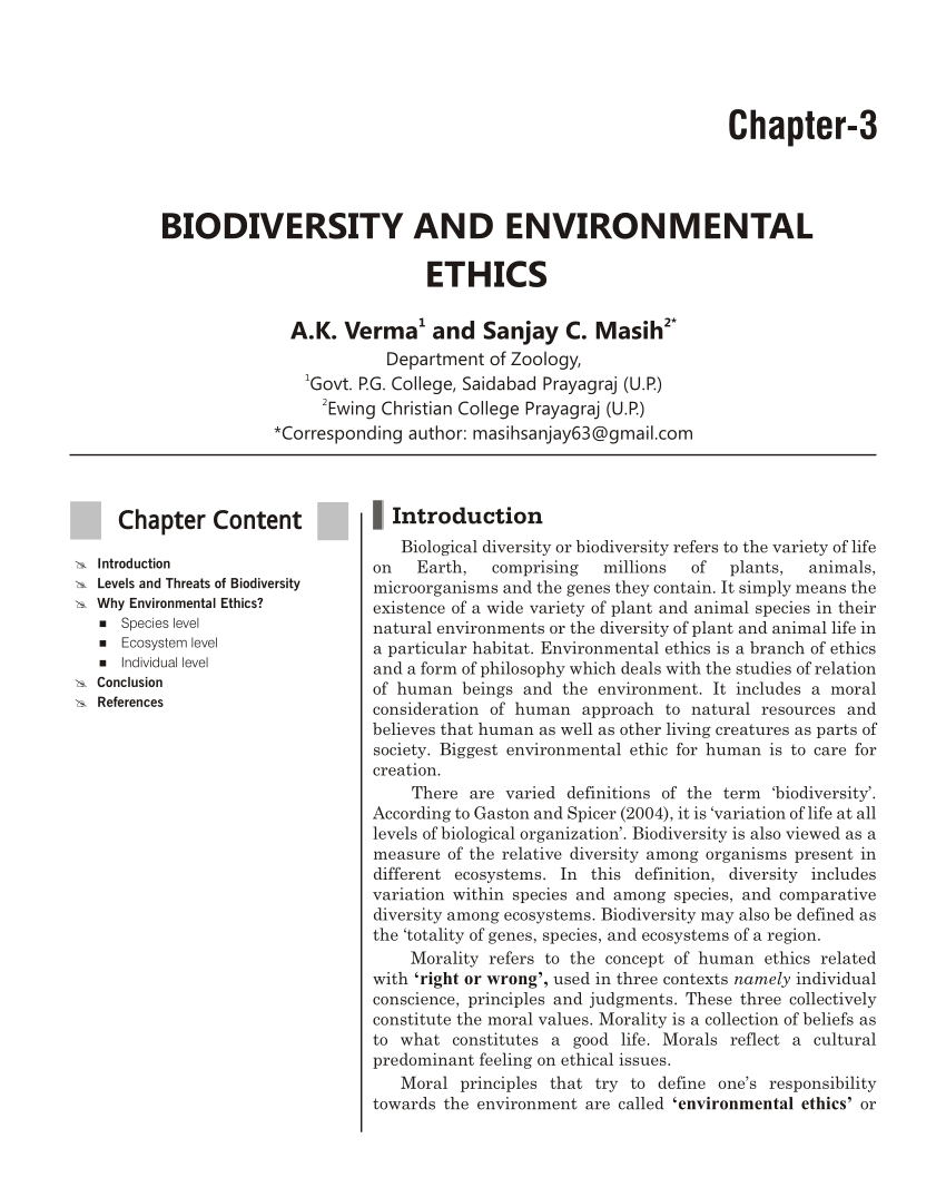 thesis on environmental ethics