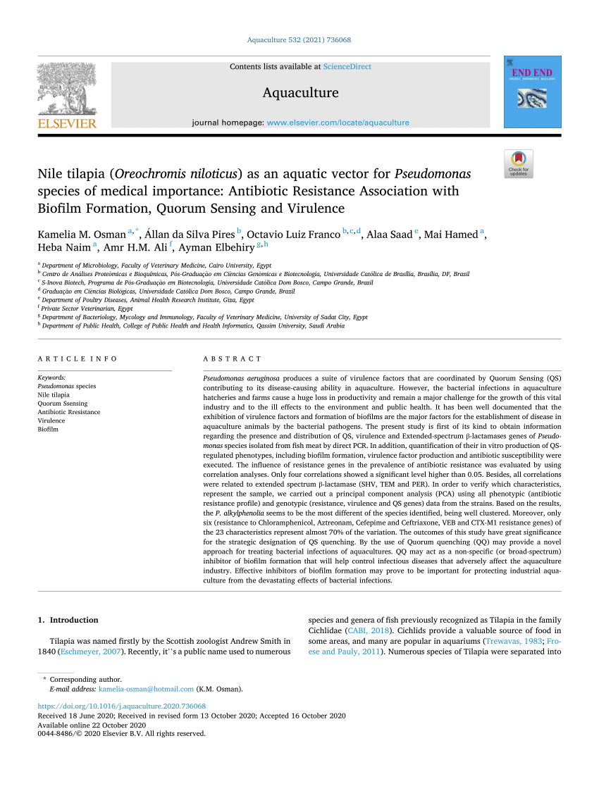 Pdf Aquaculture 532 21 Nile Tilapia Oreochromis Niloticus As An Aquatic Vector For Pseudomonas Species Of Medical Importance Antibiotic Resistance Association With Biofilm Formation Quorum Sensing And Virulence