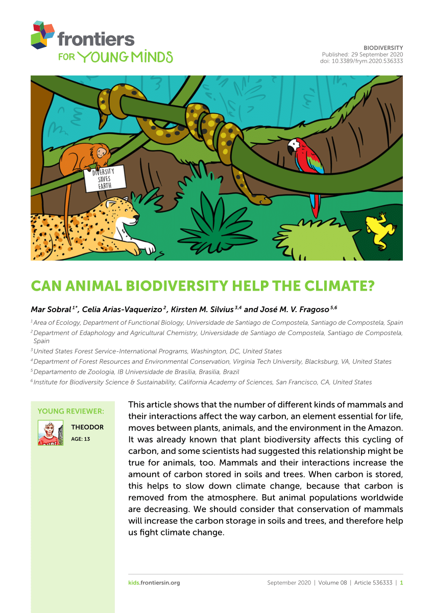 PDF) Can Animal Biodiversity Help the Climate?