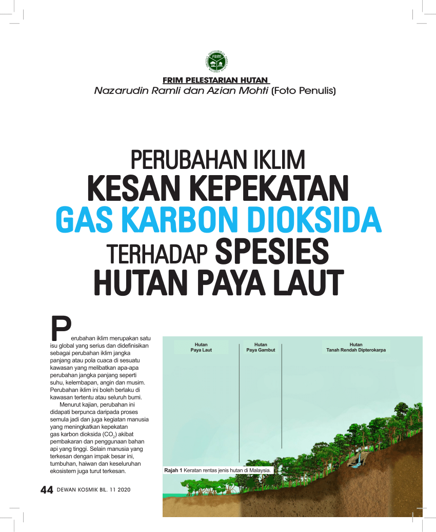 Pdf Perubahan Iklim Kesan Kepekatan Gas Karbon Dioksida Terhadap Spesies Hutan Paya Laut