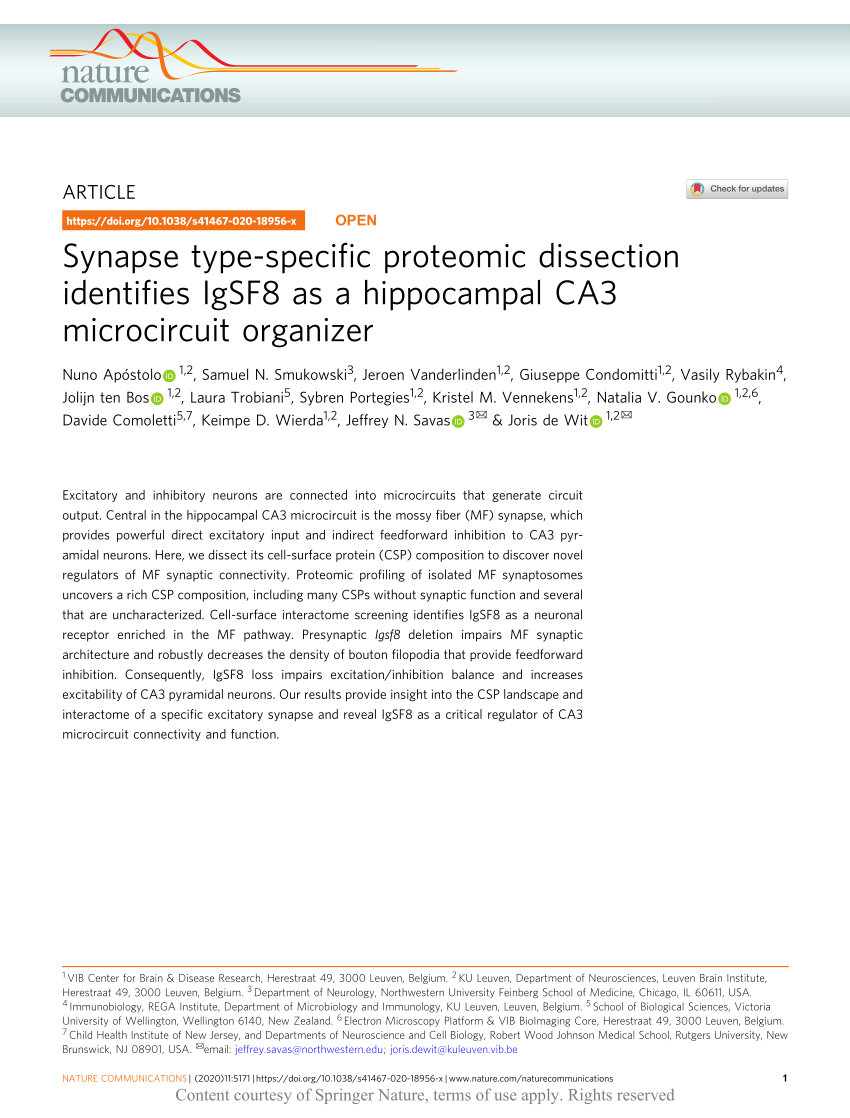 Synapse type-specific proteomic dissection identifies IgSF8 as a