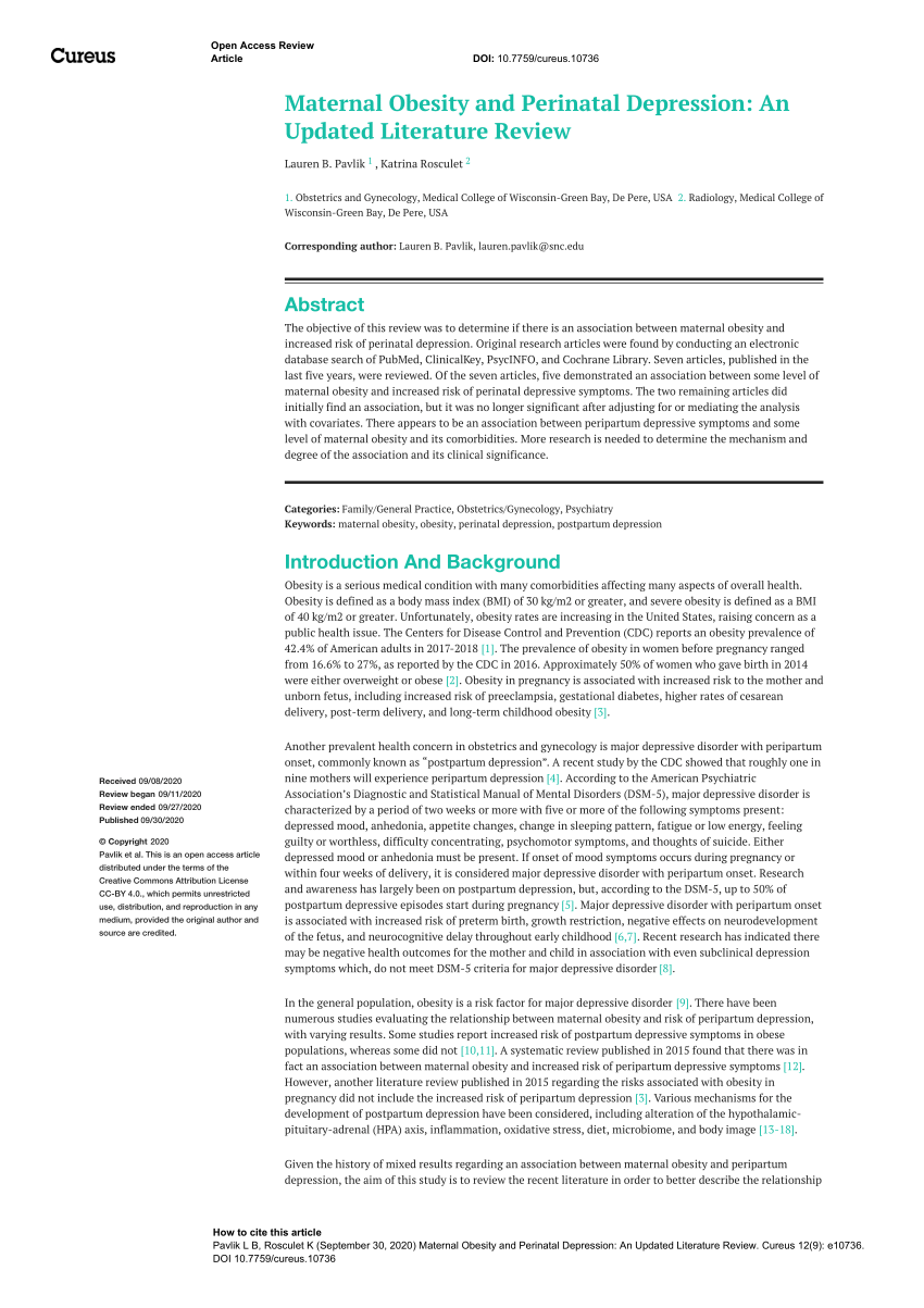 maternal depression literature review