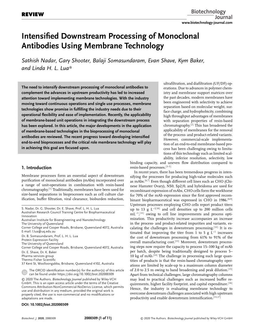 https://i1.rgstatic.net/publication/346053399_Intensified_Downstream_Processing_of_Monoclonal_Antibodies_Using_Membrane_Technology/links/609bc440458515a04c498201/largepreview.png