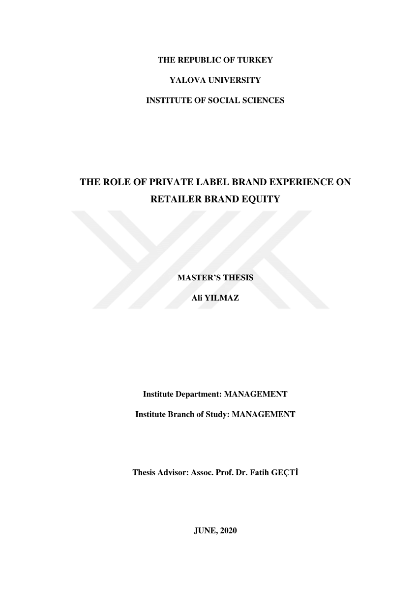 privatization master thesis