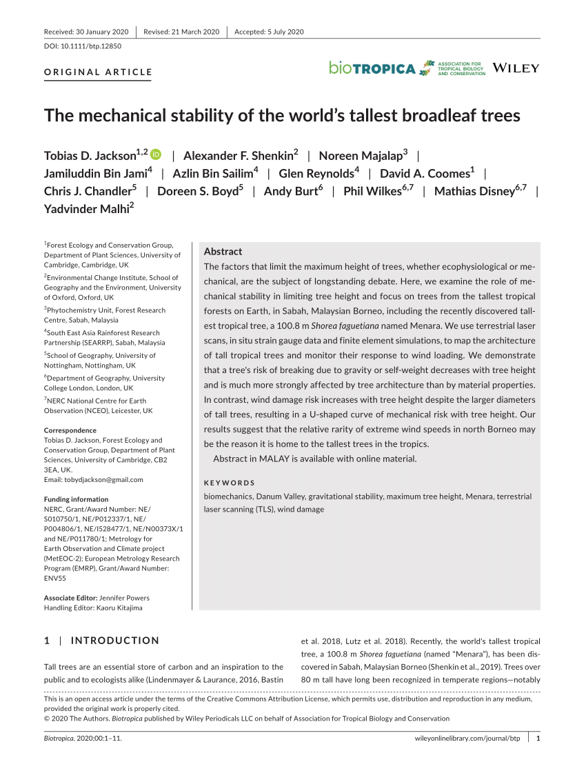 PDF) The mechanical stability of the worldu0027s tallest broadleaf trees