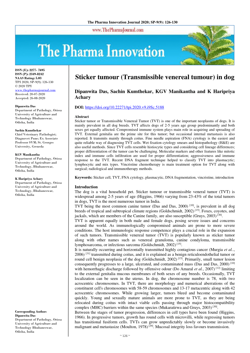 pdf sticker tumour transmissible venereal tumour in dog