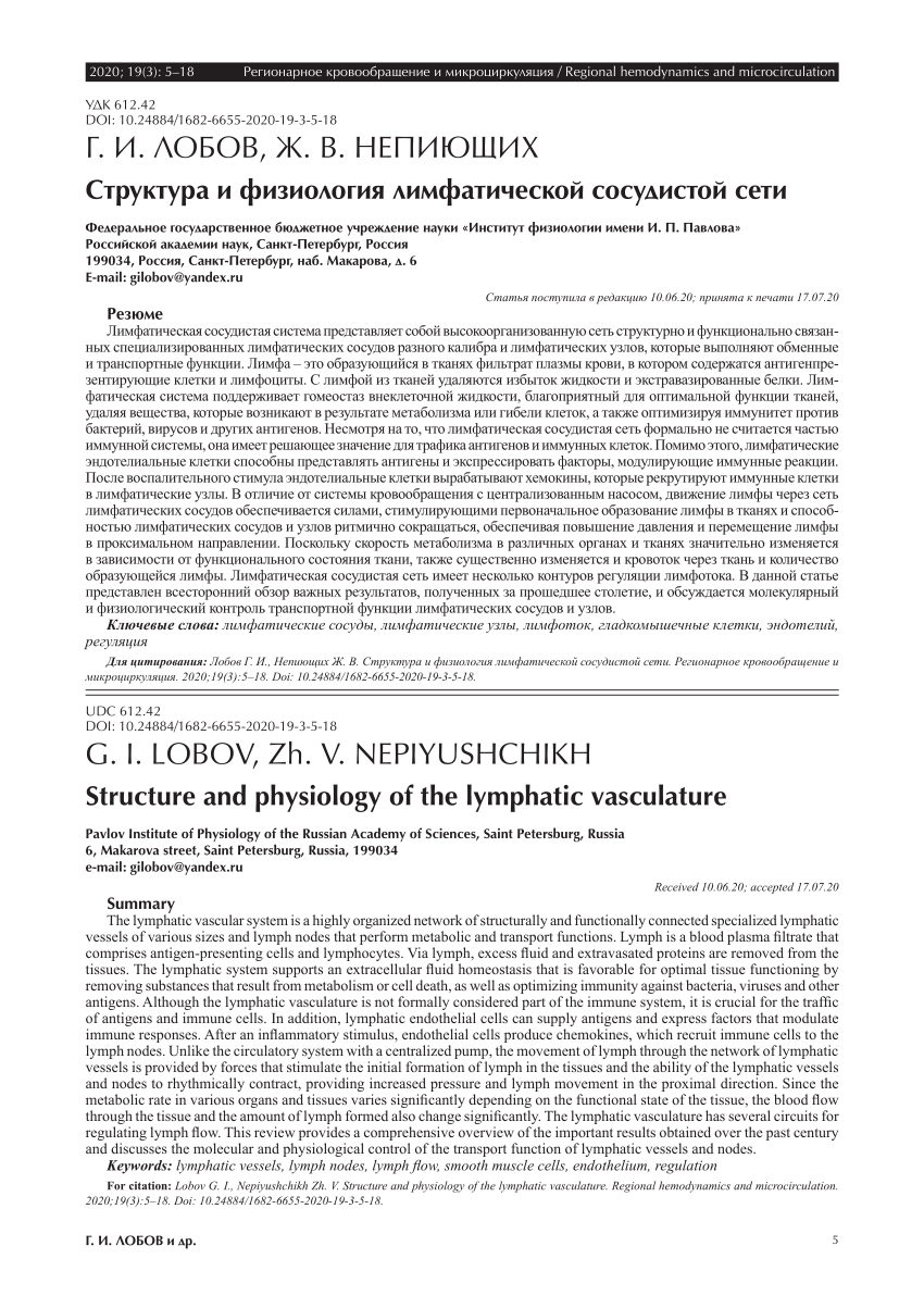 PDF) Structure and physiology of the lymphatic vasculature