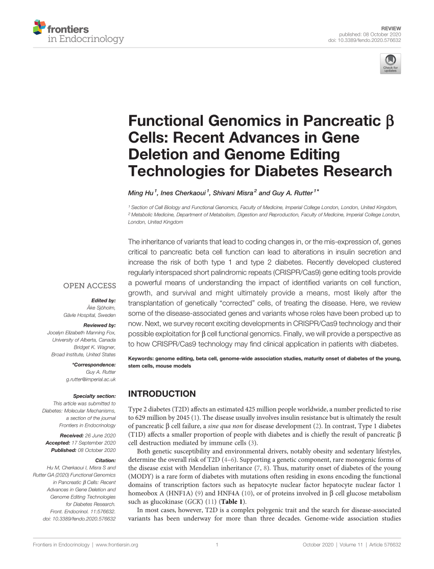 Pdf Functional Genomics In Pancreatic B Cells Recent Advances In Gene Deletion And Genome Editing Technologies For Diabetes Research