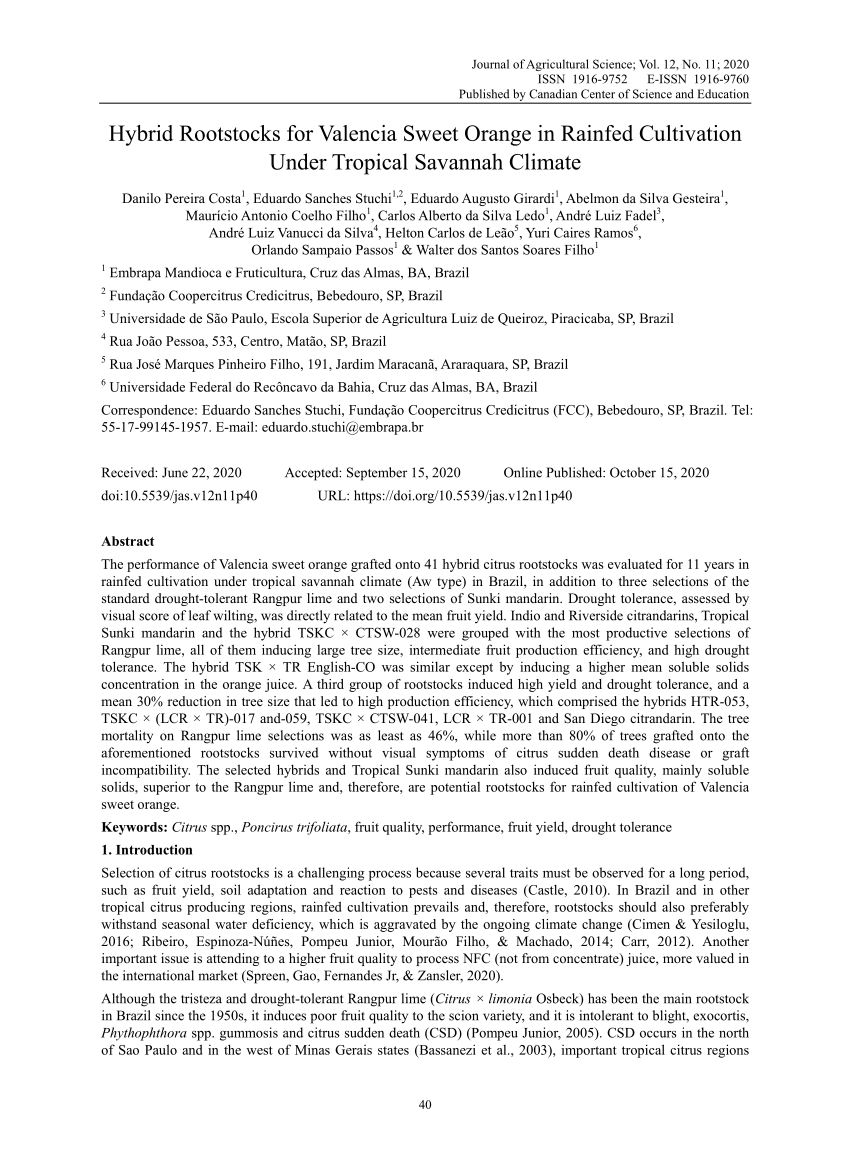 PDF) Hybrid Rootstocks for Valencia Sweet Orange in Rainfed