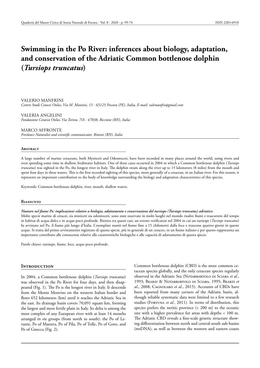 (PDF) Swimming in the Po River: inferences about biology, adaptation