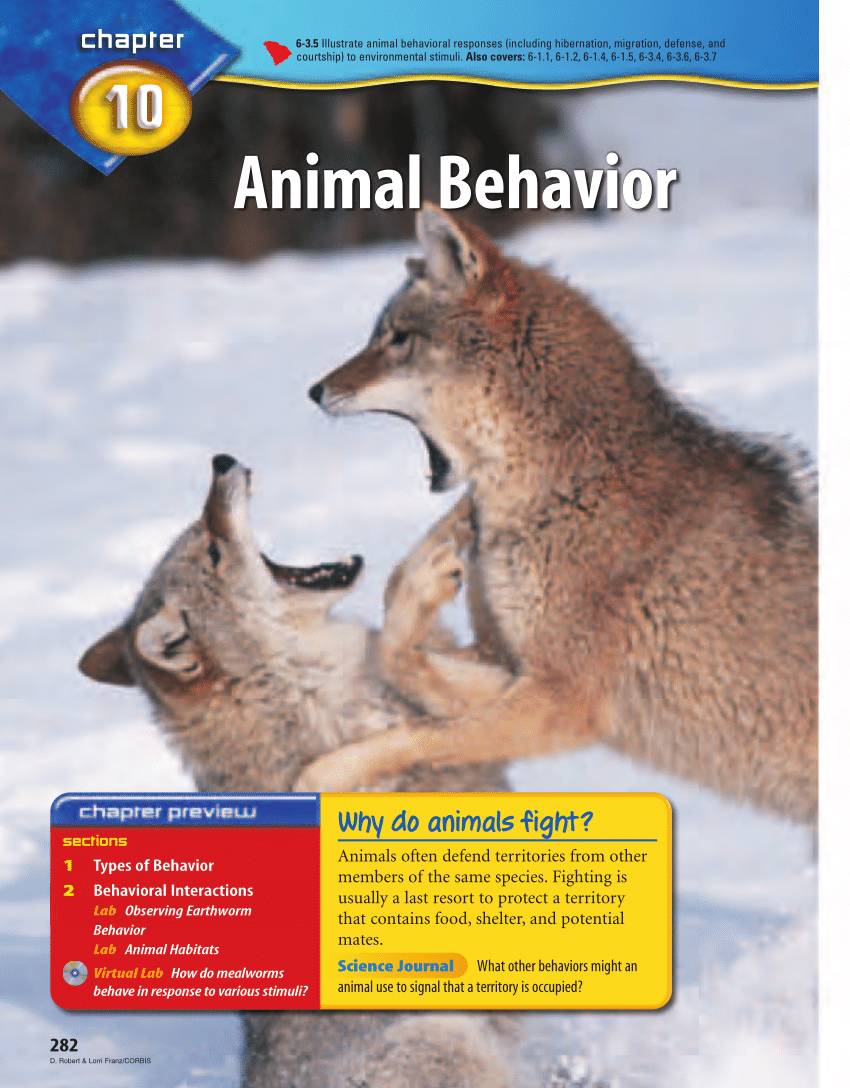 PDF) Animal behaviour
