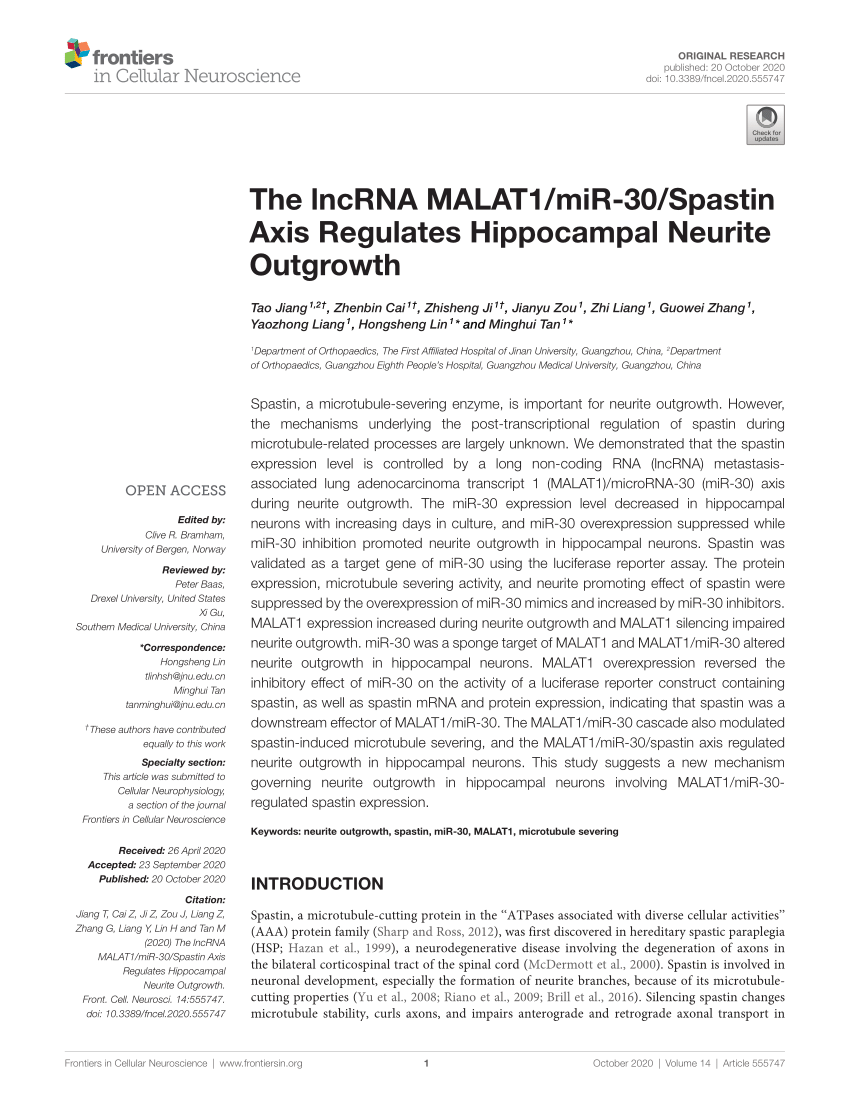 PDF) The lncRNA MALAT1/miR-30/Spastin Axis Regulates Hippocampal 